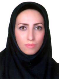 Raheleh Mirmojarabian Raheleh Mirmojarabian